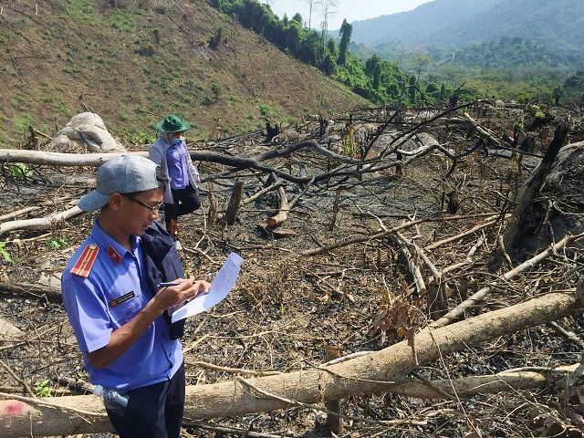 Những khó khăn, vướng mắc trong trong xử lý các hành vi  “Vi phạm quy định về khai thác, bảo vệ rừng và lâm sản” và  “Hủy hoại rừng” trên địa bàn huyện Khánh Vĩnh